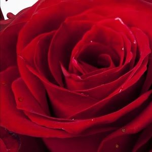 Meet your Posher, Gilbert